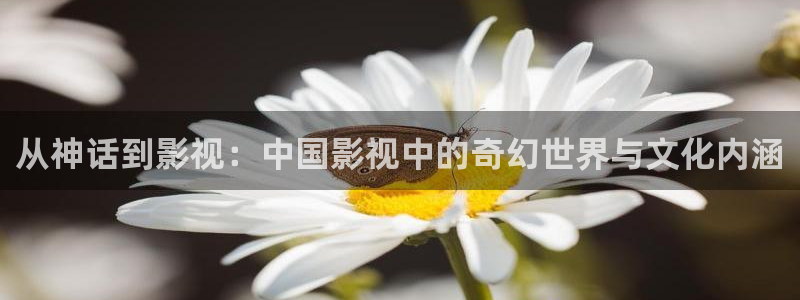 秋霞午夜网站：从神话到影视：中国影视中的奇幻世界与文化内涵