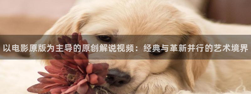 秋霞电影爽片：以电影原版为主导的原创解说视频：经典与革新并行的艺术境界