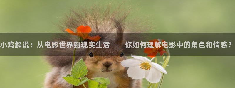 秋霞影院在线观看全集免费高清视频网站