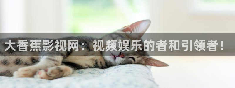 秋霞电影网