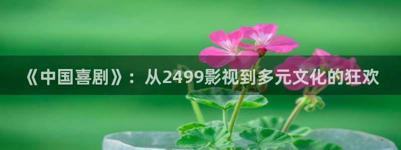 伦理神马秋霞：《中国喜剧》：从2499影视到多元文化的狂欢