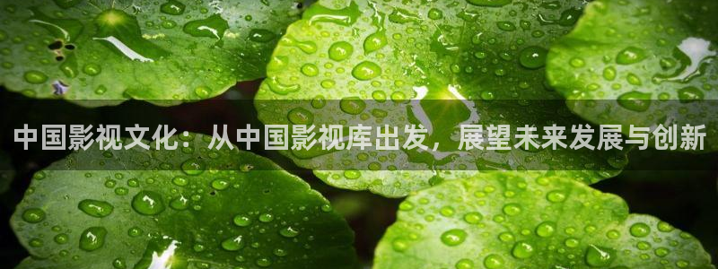 神马特片秋霞：中国影视文化：从中国影视库出发，展望未来发展与创新