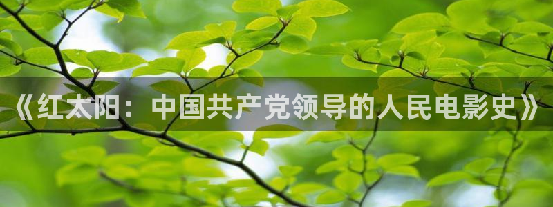 秋霞电影网理伦片