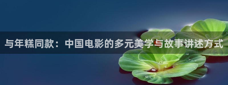 秋霞6789影院：与年糕同款：中国电影的多元美学与故事讲述方式
