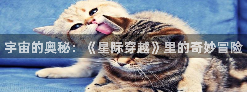 秋霞网在线看：宇宙的奥秘：《星际穿越》里的奇妙冒险