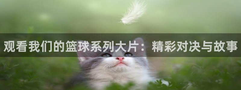 电影秋霞：观看我们的篮球系列大片：精彩对决与故事