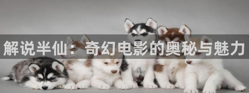 秋霞手机在线网成人鲁丝片
