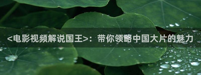 秋霞电影午夜在线