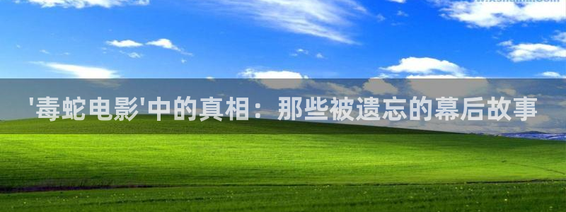 秋霞神马午夜伦理