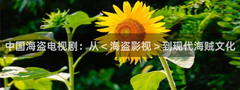 秋霞电影日韩