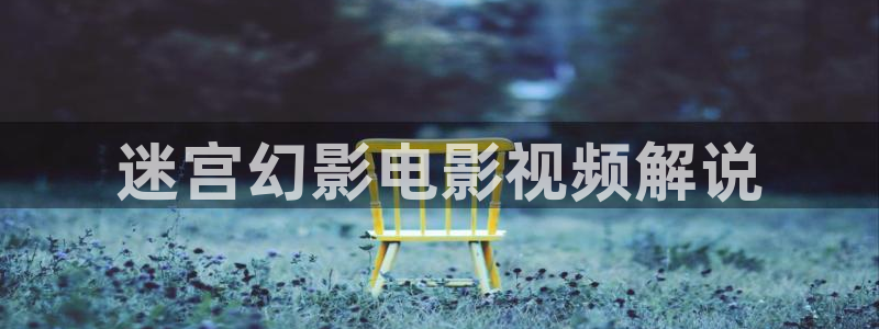 免费秋霞网：迷宫幻影电影视频解说