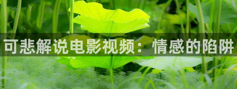 秋霞电影限制：可悲解说电影视频：情感的陷阱