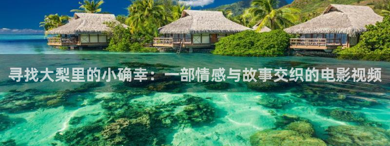 秋霞电影一级片：寻找大梨里的小确幸：一部情感与故事交织的电影视频