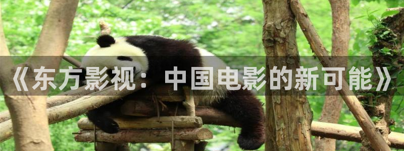 秋霞网直播网站：《东方影视：中国电影的新可能》