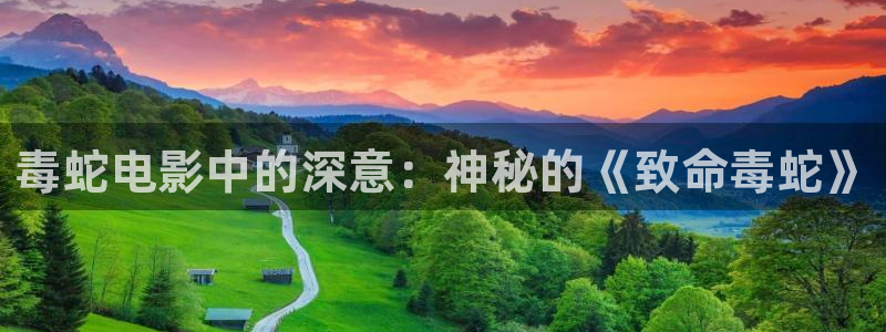 秋霞电影院午夜伦观看：毒蛇电影中的深意：神秘的《致命毒蛇》