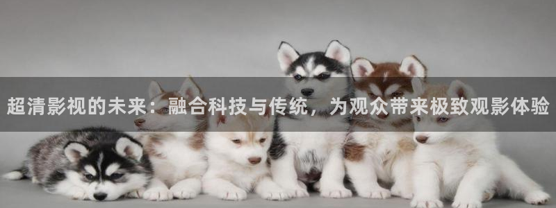 秋霞在线播放电影：超清影视的未来：融合科技与传统，为观众带来极致观影体验