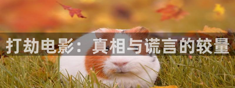 秋霞电影26：打劫电影：真相与谎言的较量