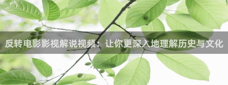 秋霞免费特色大片：反转电影影视解说视频：让你更深入地理解历史与文化