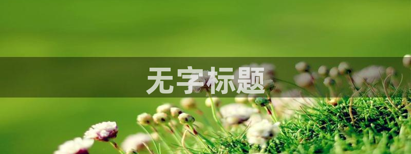 秋霞网站三级：无字标题