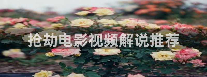 717电影网good三级秋霞电影：抢劫电影视频解说推荐