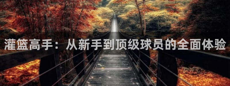 秋霞电影网院：灌篮高手：从新手到顶级球员的全面体验