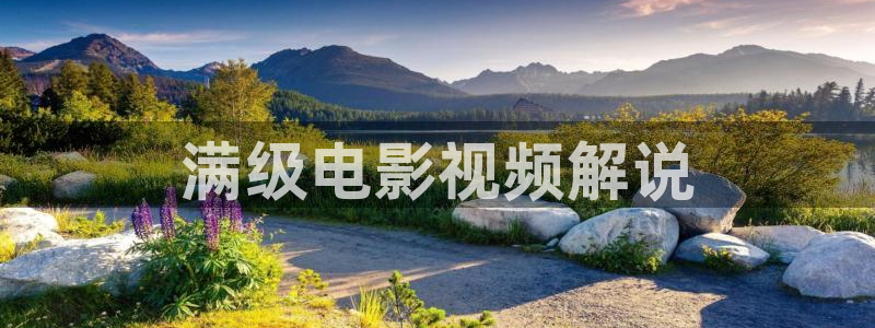 秋霞麻豆成人网：满级电影视频解说