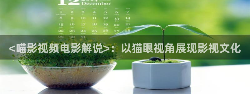 秋霞被窝网：<喵影视频电影解说>：以猫眼视角展现影视文化