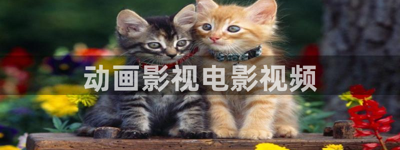 新秋霞在线：动画影视电影视频