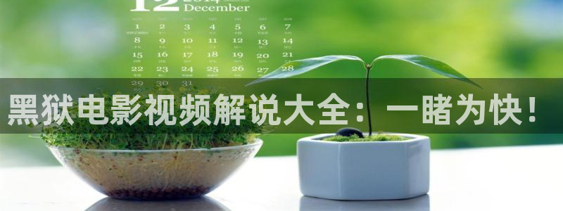 秋霞手机理伦电影：黑狱电影视频解说大全：一睹为快！