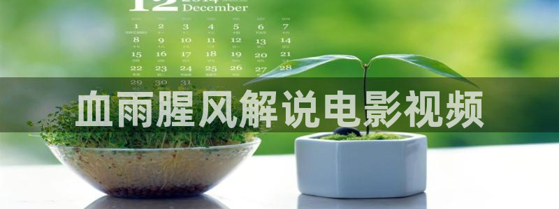 秋霞影视神马影院：血雨腥风解说电影视频