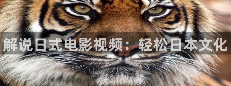 秋霞电影看片：解说日式电影视频：轻松日本文化