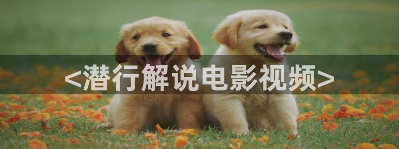秋霞最新大片：<潜行解说电影视频>
