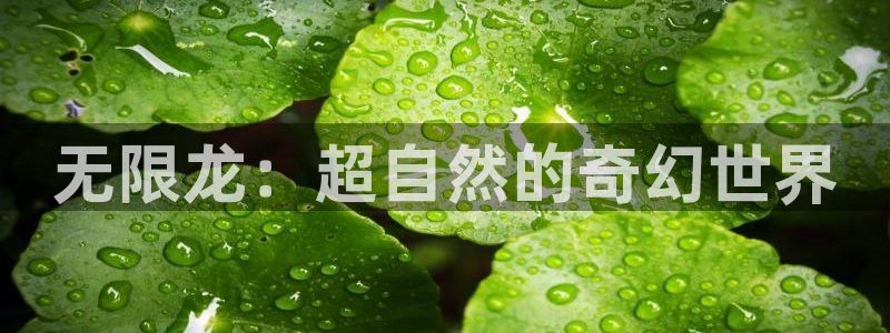 秋霞电影网.：无限龙：超自然的奇幻世界