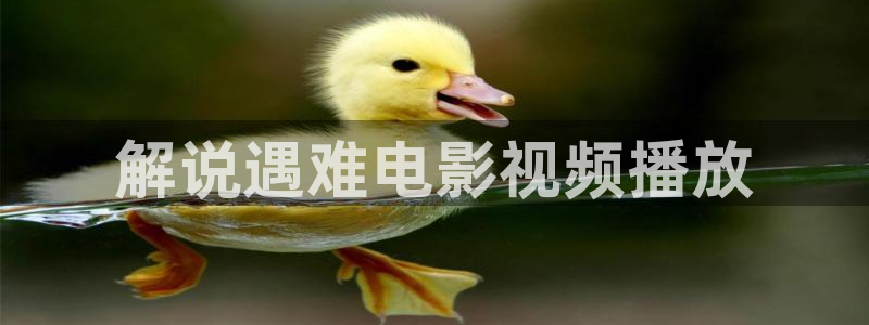 秋霞大：解说遇难电影视频播放