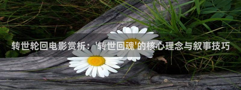1秋霞电影网：转世轮回电影赏析：\'转世回魂\'的核心理念与叙事技巧
