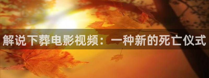 秋霞成人理论电影：解说下葬电影视频：一种新的死亡仪式