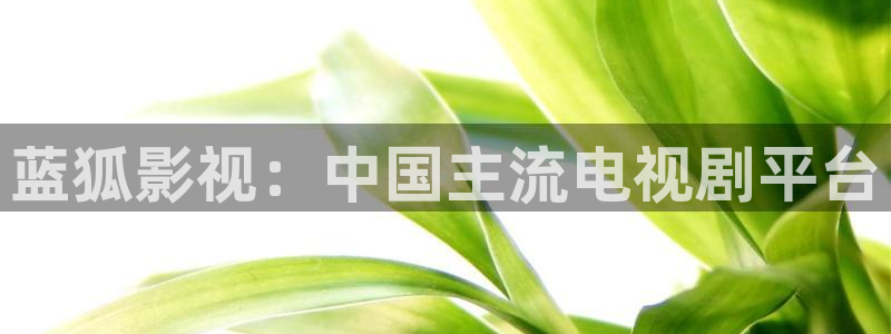 秋霞电影现场直播